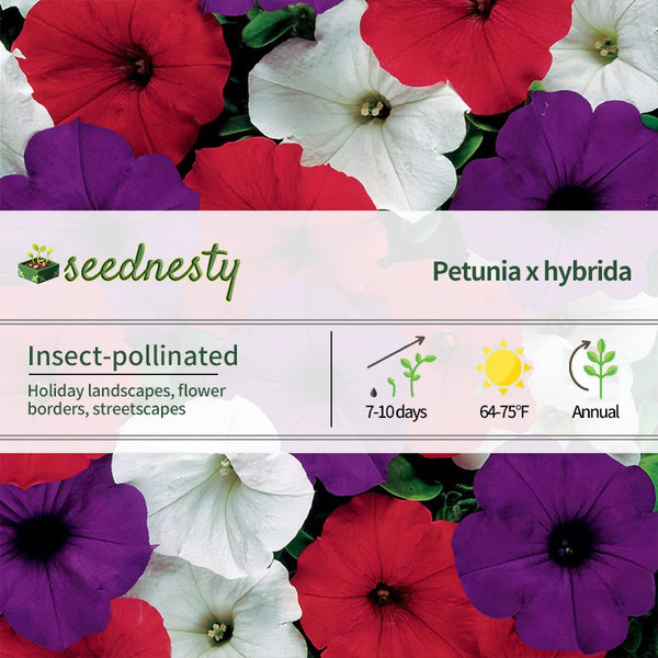 Easy Wave The Flag Mix Petunia Seeds