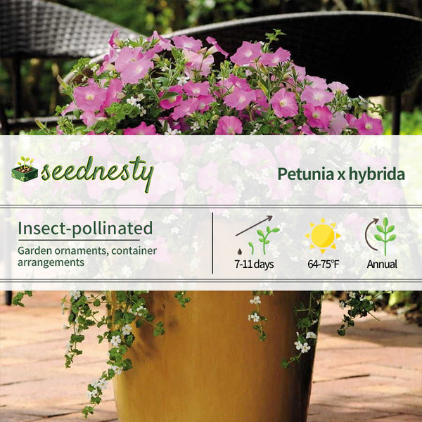 Fuseables Silk 'n Satin Petunia-Bacopa Seeds