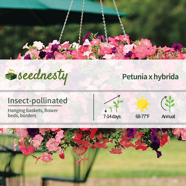 Easy Wave Beachcomber Mix Petunia Seeds