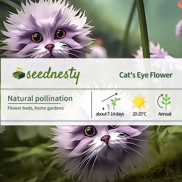 Amazing Purple Tiger face flower Seeds