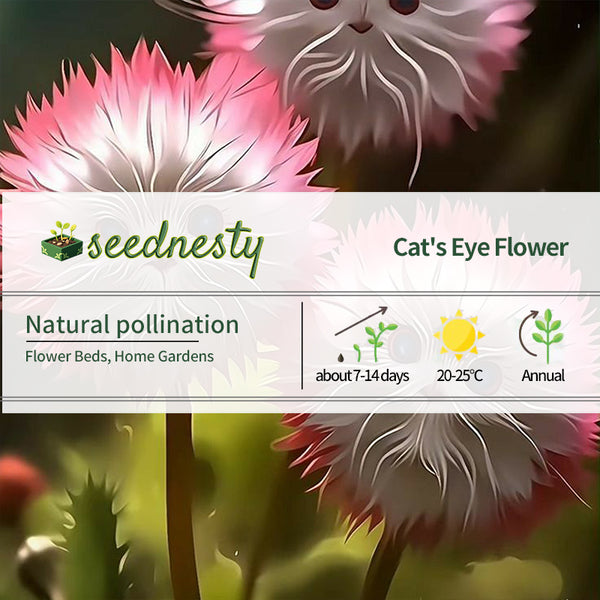 2025 New🔥Red Cat face flower Seeds