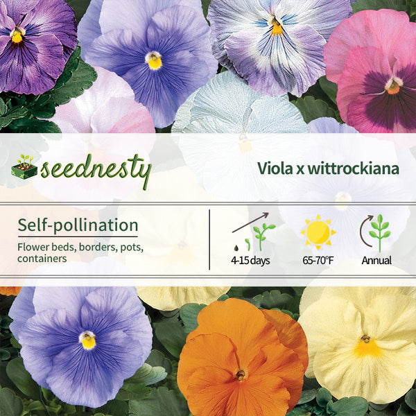 Delta Classic Watercolors Mix Pansy Seeds