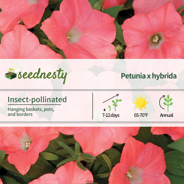 Easy Wave Coral Reef Petunia Seeds