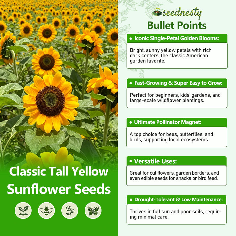 edible sunflower seed plants Classic Tall Yellow Sunflower Seeds