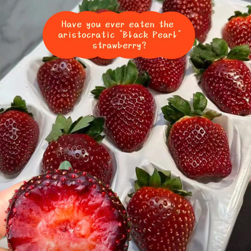 black pearl strawberry seeds Black Pearl Strawberry Seeds
