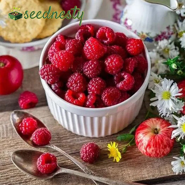 Red Raspberry Seeds