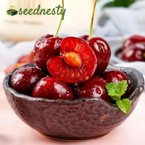 Rainier Cherry Fruit Seeds