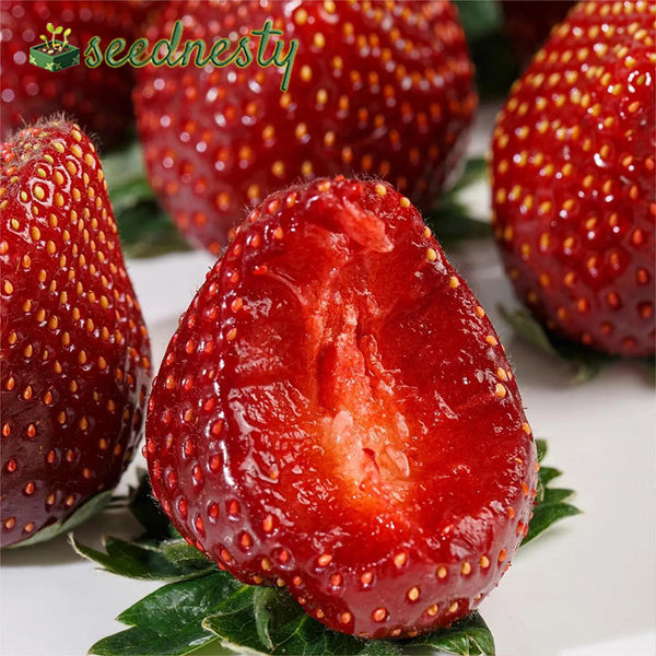 Black Pearl Strawberry Seeds