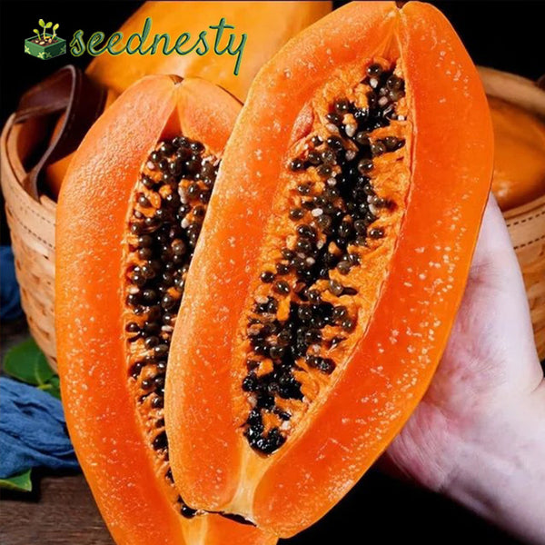 Red-Flesh Papaya Seeds