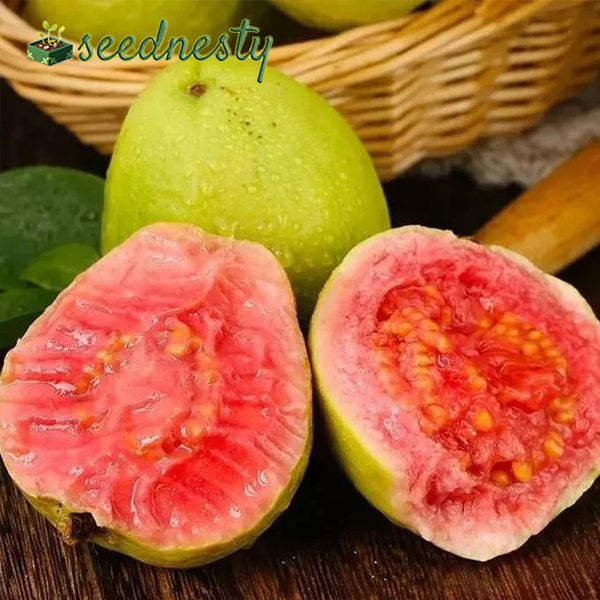 Strawberry Guava Seeds