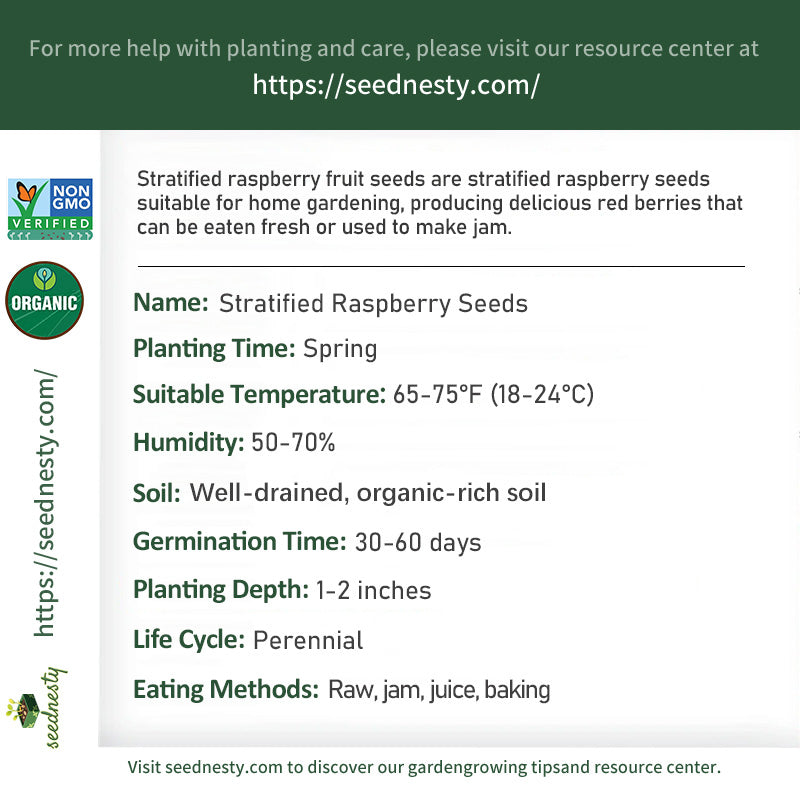 Stratified Raspberry Seeds – Seednesty