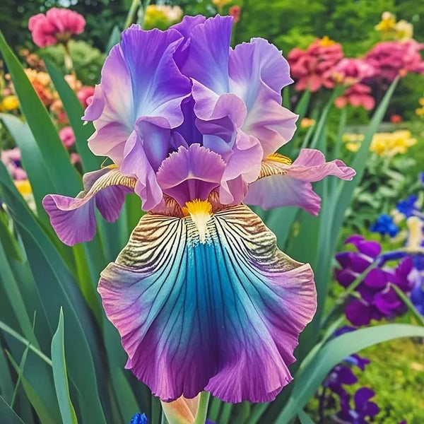 Enchanted Mirage-Rare Iris Seeds⚜️
