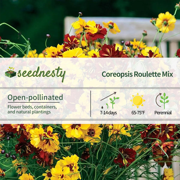 Roulette Mix Coreopsis Seeds
