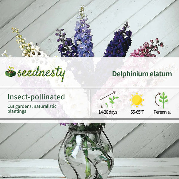 Magic Fountain Mix Delphinium Seeds