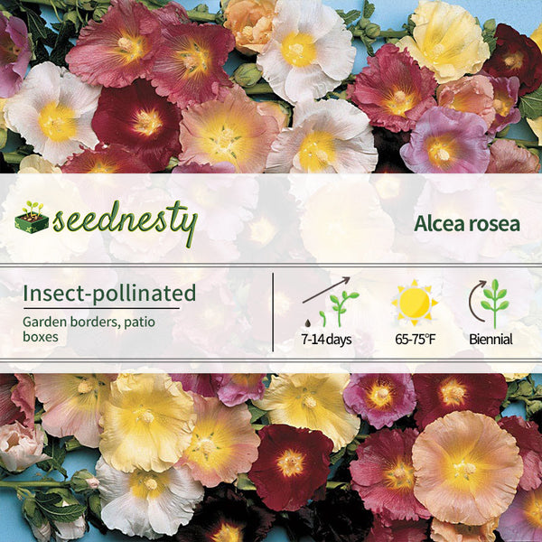 Happy Lights Hollyhock Mix Seeds