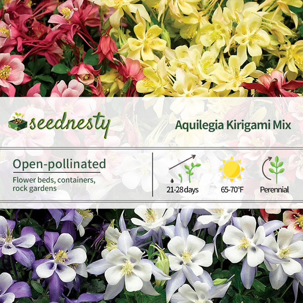 Kirigami Mix Columbine Seeds