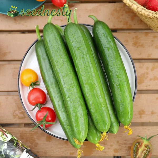 Fruit Cucumber Seeds