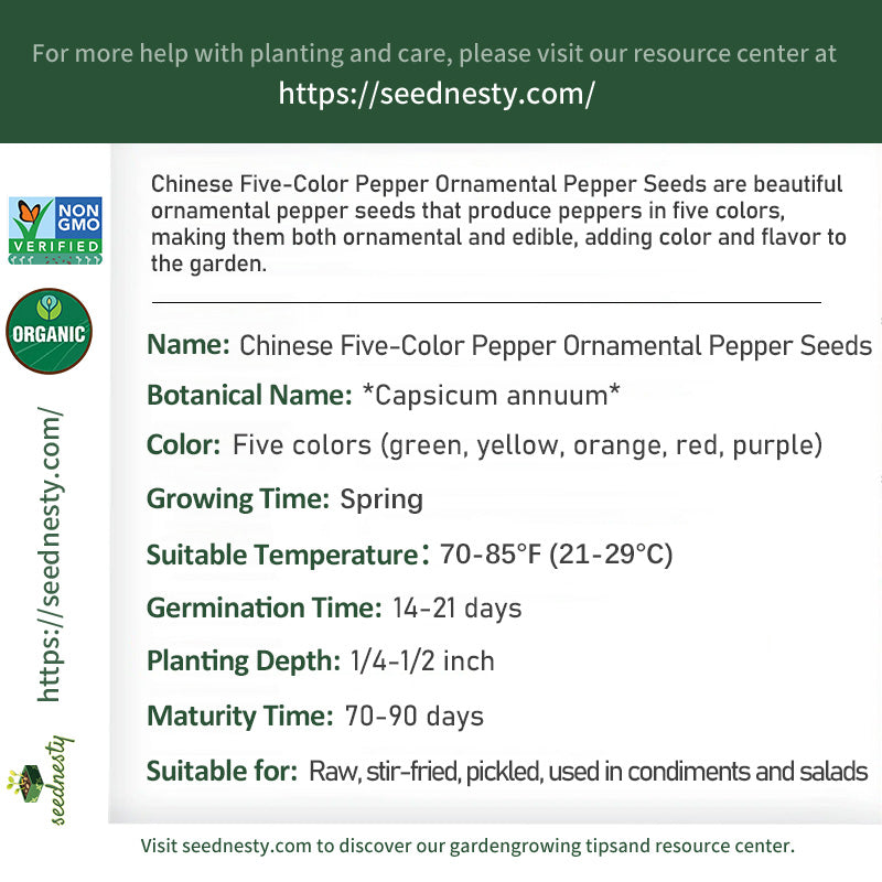 Chinese Five-Color Pepper Ornamental Pepper Seeds – Seednesty
