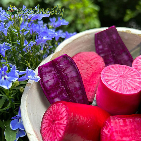 Pineapple Fruit Radish Seeds